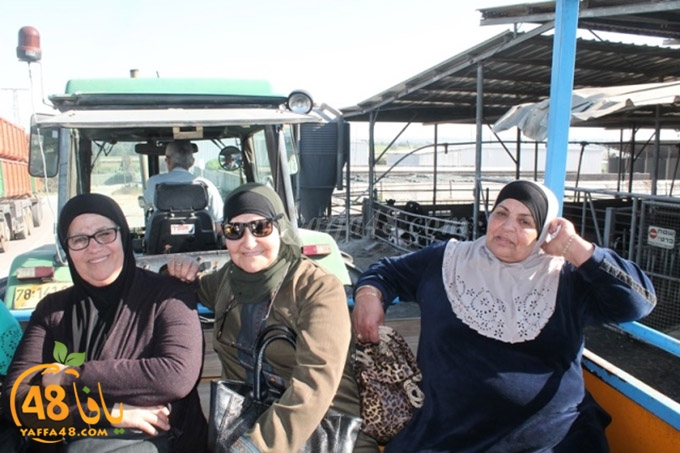 re7la janob (41).JPG